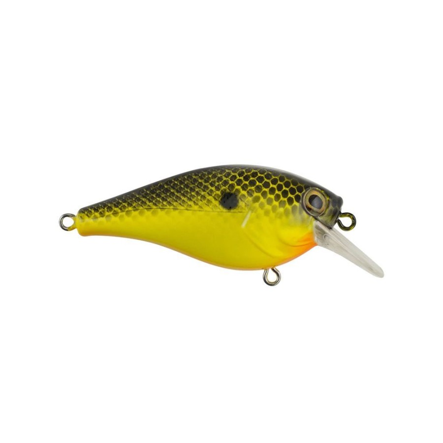 Fishing American Legacy Fishing | Berkley Squarebull Crankbait