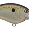 Fishing American Legacy Fishing | Spro Little John Md Type R 50 Crankbaits