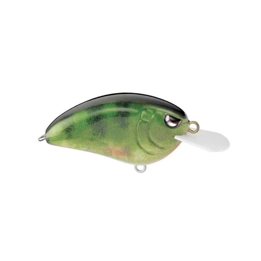 Fishing American Legacy Fishing | Spro Little John Md Crankbaits